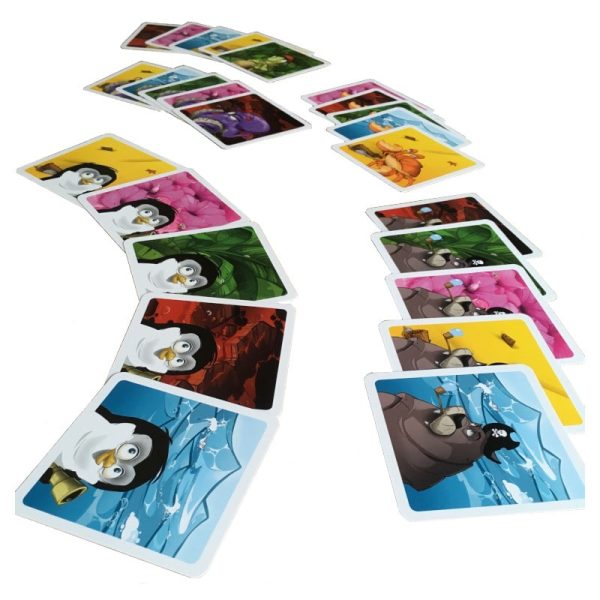 Memoarrr ! - Jeu de société – Image 4