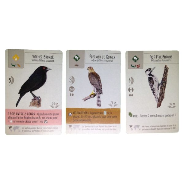 Wingspan - Jeu de société – Image 7
